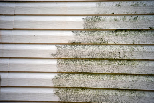 How To Choose The Right Materials for Your Siding Installation in 'Swarthmore, PA